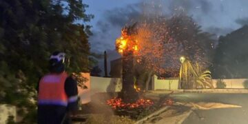 Palm tree blaze in Costa Teguise