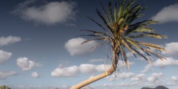 Palm crime to be investigated