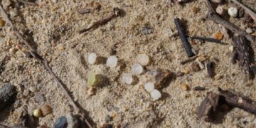 Plastic pellet spill