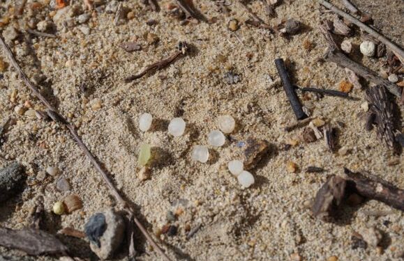 Plastic pellet spill