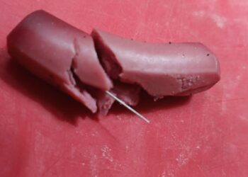 Playa Blanca pet owners beware