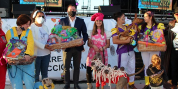 Playa Blanca dog costume contest