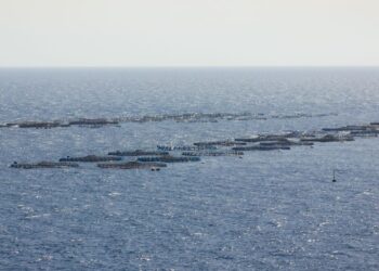 Playa Honda fish farm project “paralysed”