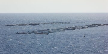 Playa Honda fish farm project “paralysed”