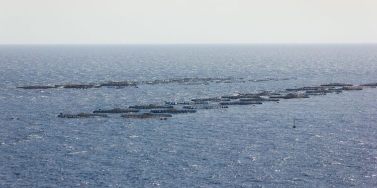 Playa Honda fish farm project “paralysed”