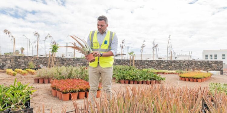 Playa Honda’s new park will have more than 4,000 trees and plants