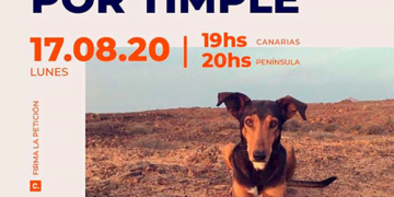 Timple demo moved online