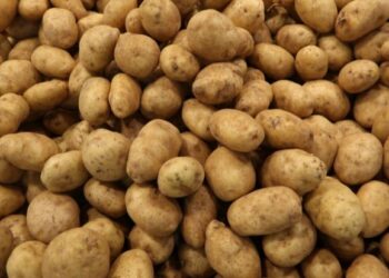 Potato shortage
