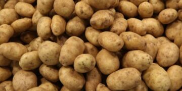 Potato shortage
