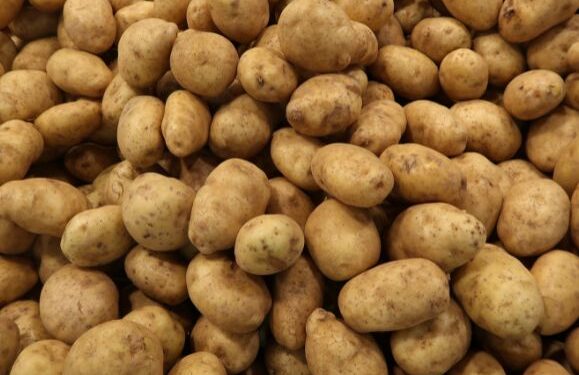 Potato shortage