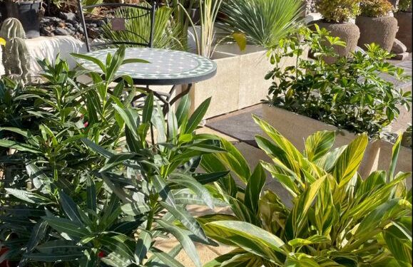 Pots, tiles, fountains and more