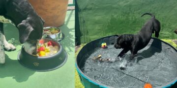 Arrecife shelter offers refreshing treats