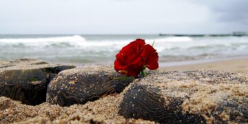 Death off the Coast