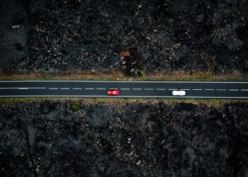 Ecologists call for road plan
