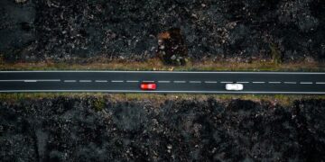 Ecologists call for road plan