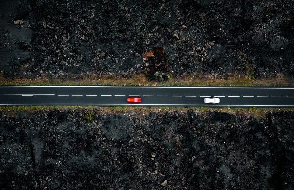 Ecologists call for road plan