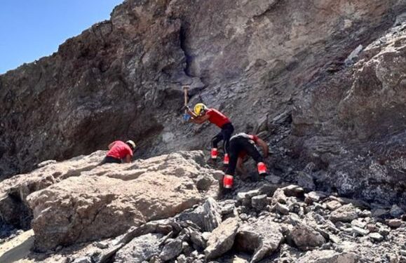 Papagayo rockslide triggers search