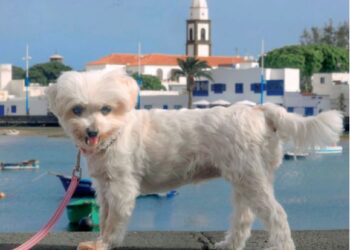 A second chance for Rosita