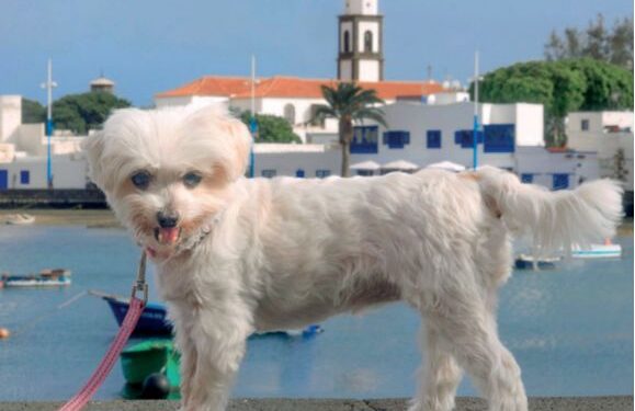 A second chance for Rosita