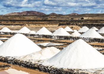 Memories of Salt