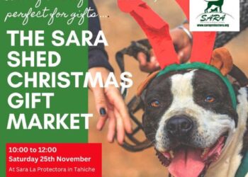 SARA Christmas Market
