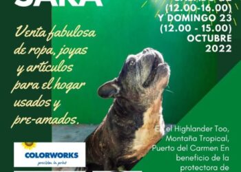 SARA Shelter events