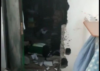 SARA Protectora shelter vandalised