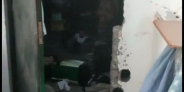 SARA Protectora shelter vandalised