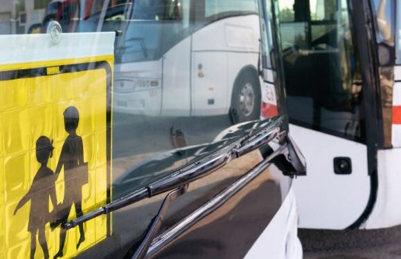 Stranded on the rock