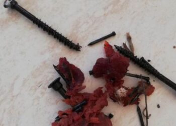 Meat and screws found in trap