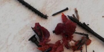 Meat and screws found in trap