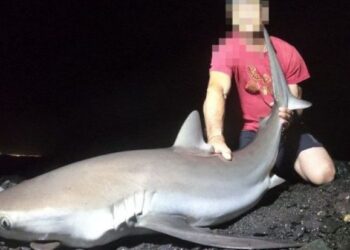Sentenced to 10 months in prison for catching protected species