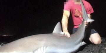 Sentenced to 10 months in prison for catching protected species