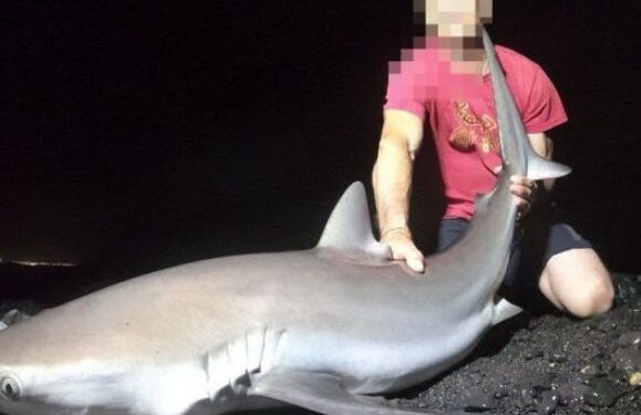 Sentenced to 10 months in prison for catching protected species