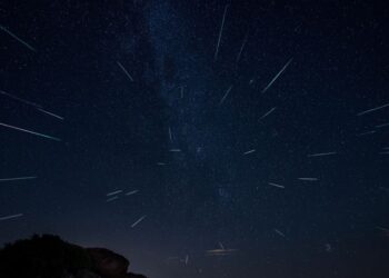 Shooting stars return
