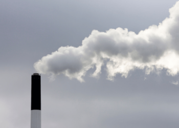 Two of the most polluting power plants in Spain