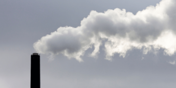 Two of the most polluting power plants in Spain