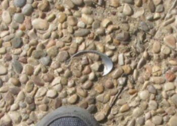 Adios, Spoon in Concrete