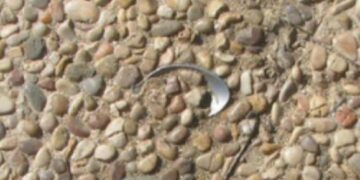 Adios, Spoon in Concrete
