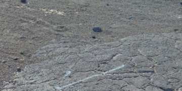 Spray paint in protected areas of Tinajo