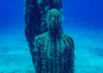 Food Fair Fills the Harbour