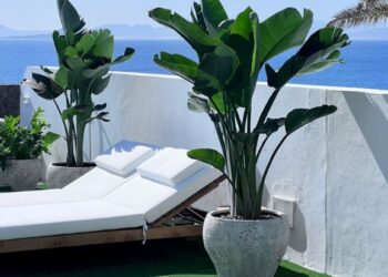 A stunning garden