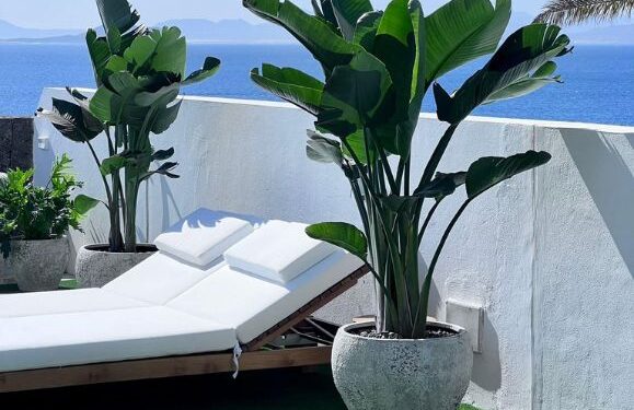A stunning garden
