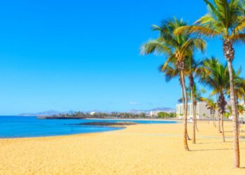 Sun beds for Playa Reducto