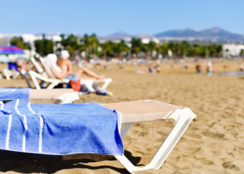 Sun beds up for bids