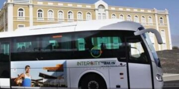 Cabildo organise special bus service for Noche Blanca