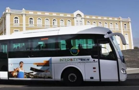 Cabildo organise special bus service for Noche Blanca
