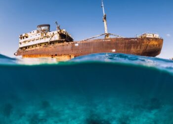 Telamon scrapping suspended
