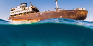 Telamon scrapping suspended