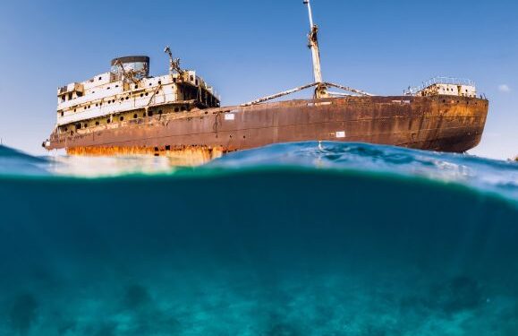 Telamon scrapping suspended